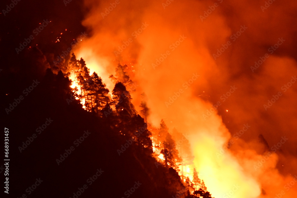 INCENDIO FORESTAL EN LA ISLA DE TENERIFE INCENDIO FORESTAL EN LA ISLA DE TENERIFE