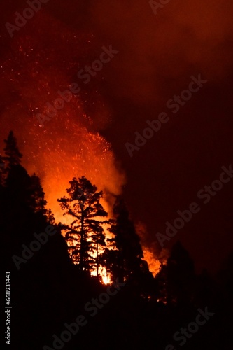 INCENDIO FORESTAL EN LA ISLA DE TENERIFE