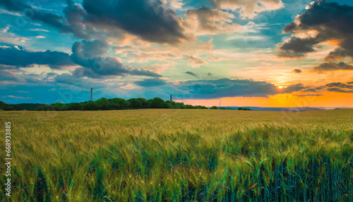 meadow sunset panorama view serene nature landscape colorful sky wide countryside rye wheat field in the summer on cloudy sky background world environment day concept green energy carbon credit