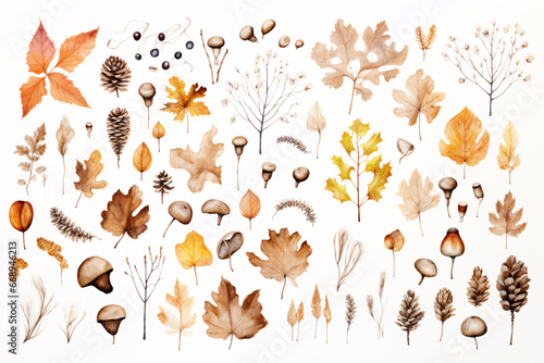 秋の落ち葉と木の実イラスト（白背景）｜dfallen leaves and nuts in autumn. Generative AI