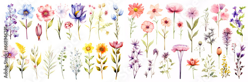 水彩風のたくさんの花イラスト（白背景）｜Watercolor flowers. Generative AI © MAKIKO