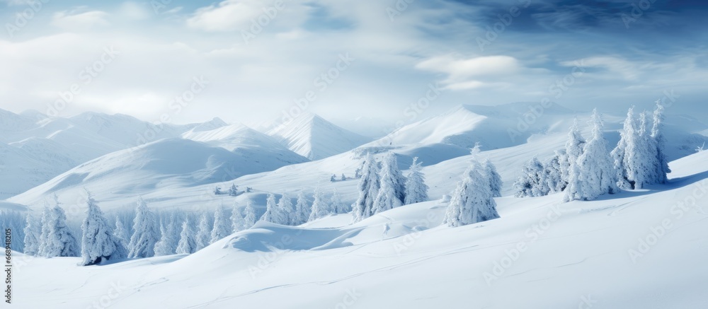 Landscape of wintry mountain trees Landscape of wintry mountain trees