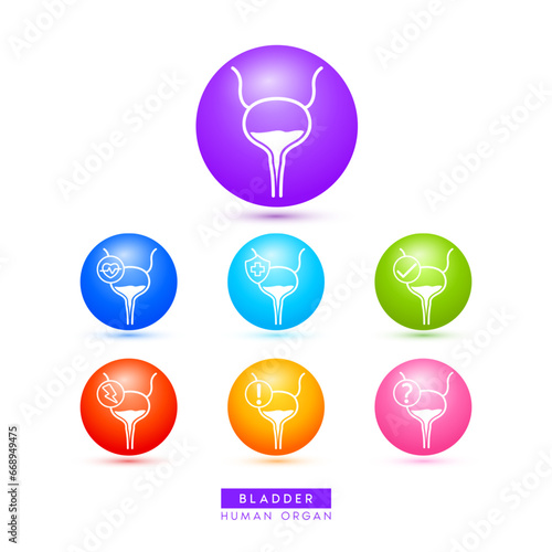 Bladder icons for health care ads or website. Medical Icon human organ with exclamation check question mark, cross and thunder. Ball round 3d isolated on white background. Vector EPS10.