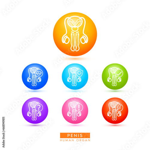 Penis icons for health care ads or website. Medical Icon human organ with exclamation check question mark, cross and thunder. Ball round 3d isolated on white background. Vector EPS10.
