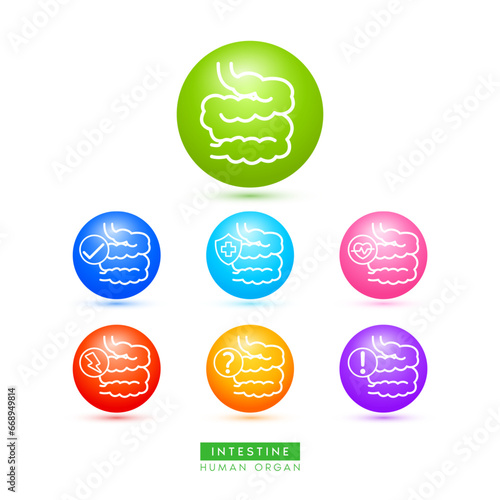 Small intestine icons for health care ads or website. Medical Icon human organ with exclamation check question mark, cross and thunder. Ball round 3d isolated on white background. Vector EPS10.