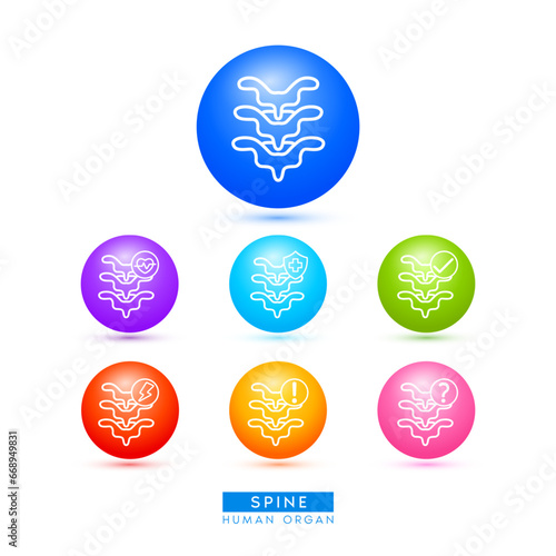 Spine bone icons for health care ads or website. Medical Icon human organ with exclamation check question mark, cross and thunder. Ball round 3d isolated on white background. Vector EPS10.