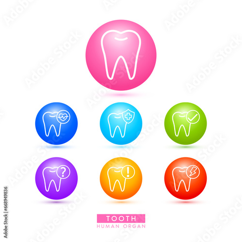 Tooth icons for health care ads or website. Medical Icon human organ with exclamation check question mark, cross and thunder. Ball round 3d isolated on white background. Vector EPS10.