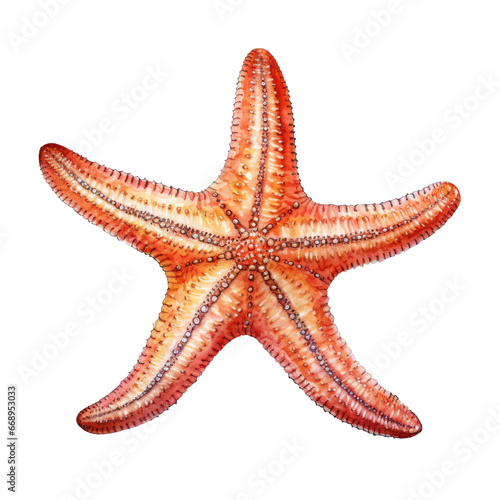 water animal element. watercolor starfish illustration.