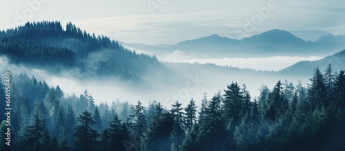 Scenic misty woods Stunning peak scenery © AkuAku