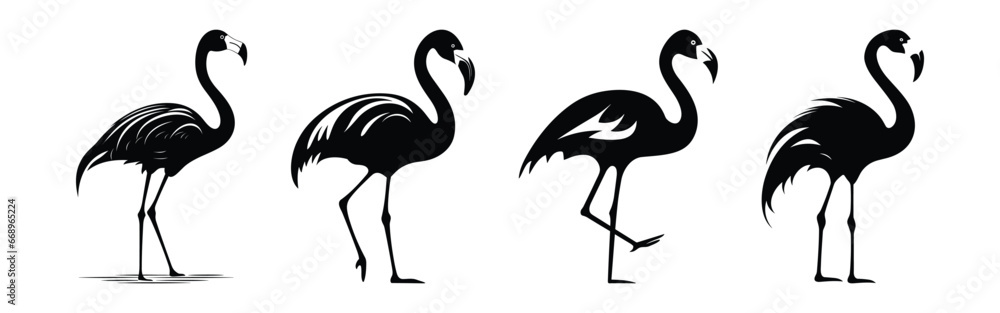 Set of Flamingo Black Color Vector illustration