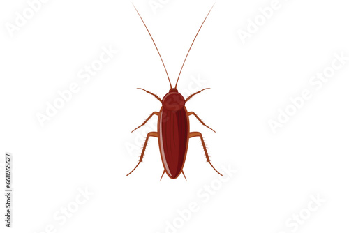 Cockroach insect isolated on white background, Dirty cockroach pest icon for stock.