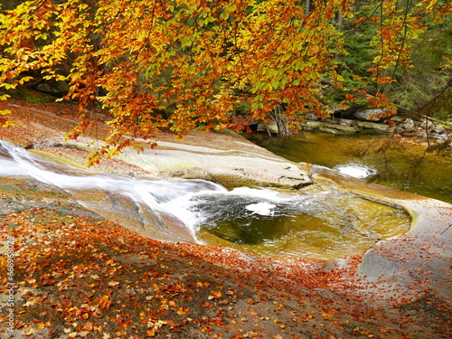 Autumn colored forest and rapids waterfalls long exposure time. Beautiful nature.