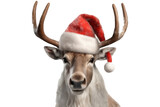 reindeer head with santa claus hat isolated on transparent background