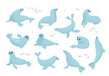 seals. north antarctica animals, cute funny cartoon characters, seals lying in different poses. vector ocean flat characters collection.