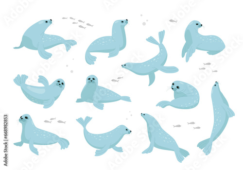 seals. north antarctica animals, cute funny cartoon characters, seals lying in different poses. vector ocean flat characters collection.