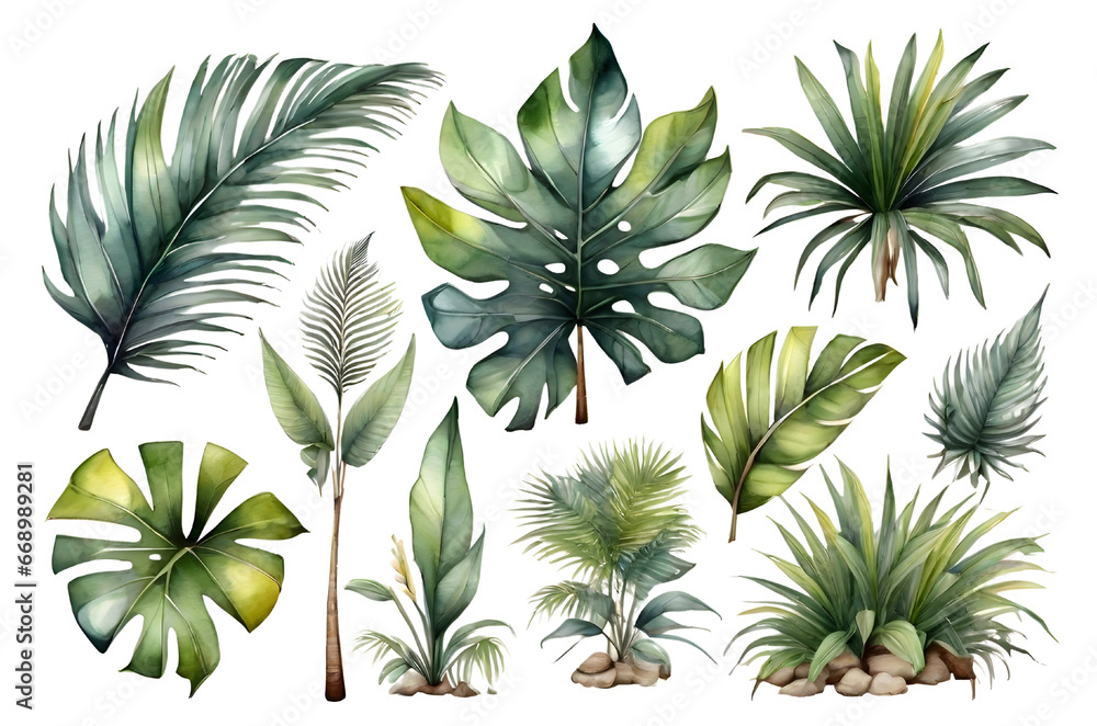 leaves on white background leaves on white background