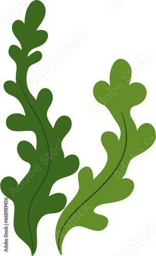 seaweed clipart