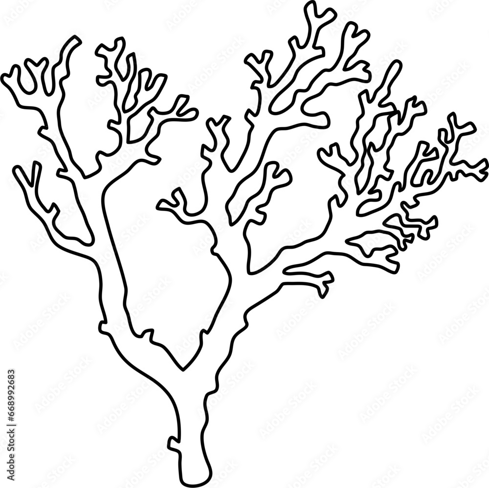 Fototapeta premium seaweed outline clipart