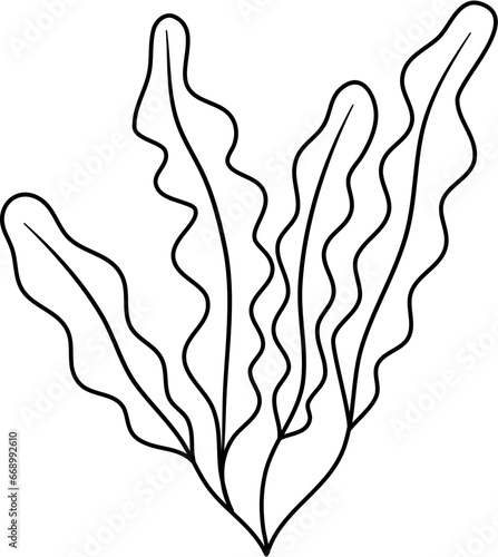 seaweed outline clipart