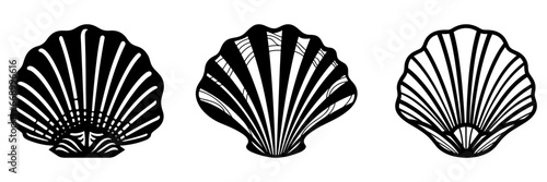 Sea shell icon. Set of black pearl shell icons. Shell vector icons.