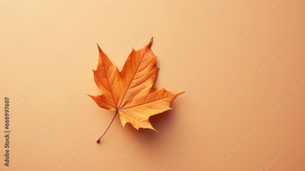Minimalistic Autumn Leaf AI Generated Minimalistic Autumn Leaf AI Generated