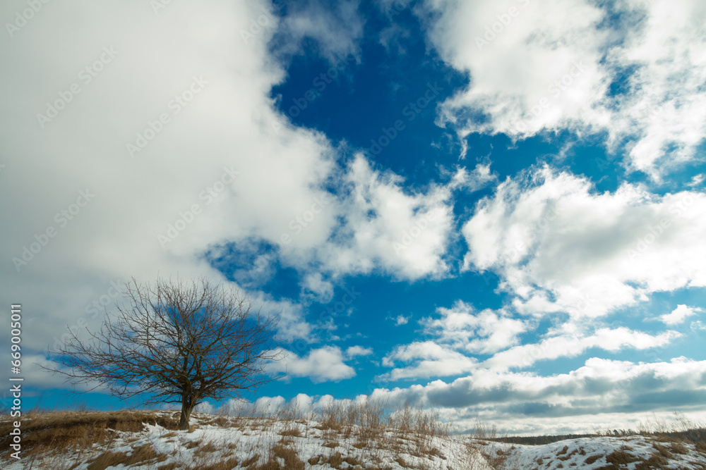 silhouette of lonely tree on the hill in Poland, Europe on sunny day in winter, amazing clouds in blue sky silhouette of lonely tree on the hill in Poland, Europe on sunny day in winter, amazing clouds in blue sky
