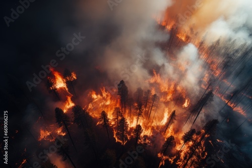 forest fire from a drone