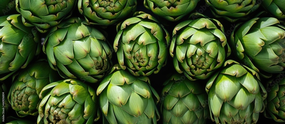 Numerous large artichokes available at the outdoor market Numerous large artichokes available at the outdoor market