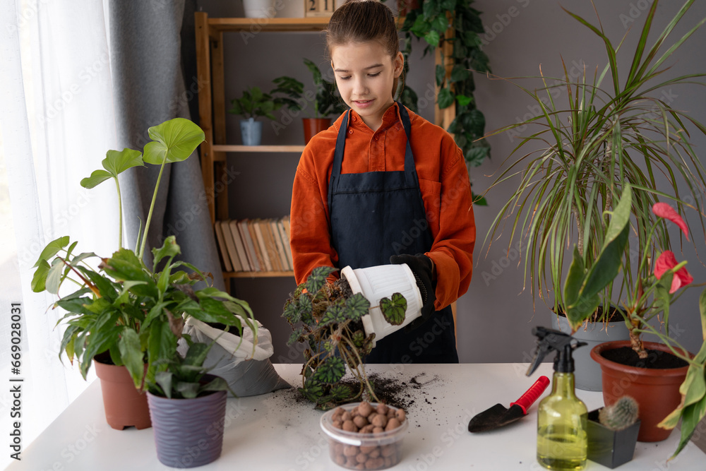 Teenage girl doing her favorite hobby, caring for houseplants, replanting plant into new pot Teenage girl doing her favorite hobby, caring for houseplants, replanting plant into new pot