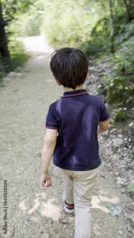 Exploring Nature - Boy Walking on Park Trail Amidst Trees and Plants on Sunny Day Exploring Nature - Boy Walking on Park Trail Amidst Trees and Plants on Sunny Day