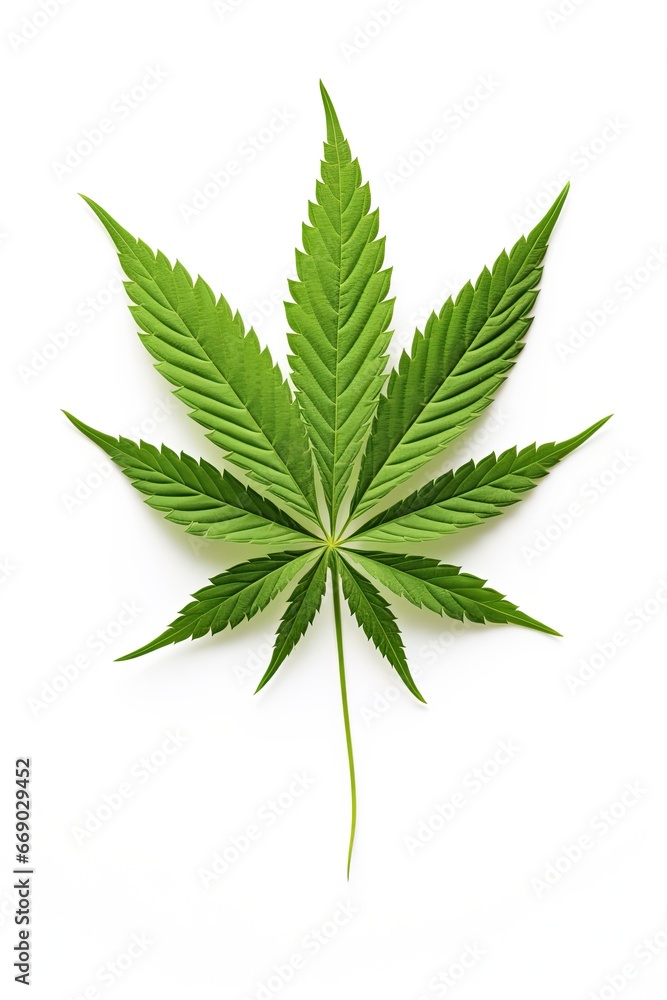 Marijuana, cannabis leaf isolated on white background. Ai generative Marijuana, cannabis leaf isolated on white background. Ai generative