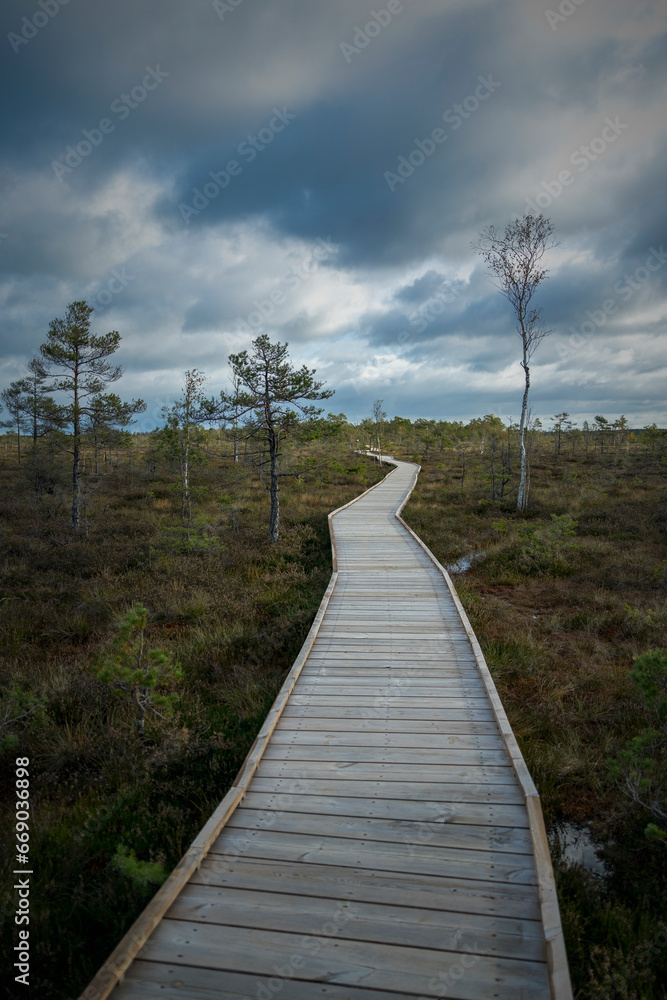 Obraz premium boardwalk in the forest, Rannametsa-Tolkuse nature trail