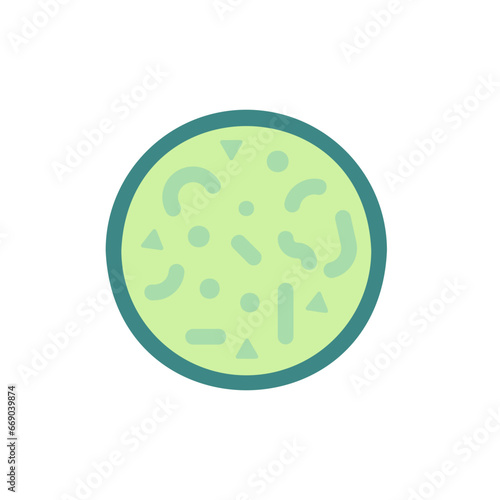 bacteria