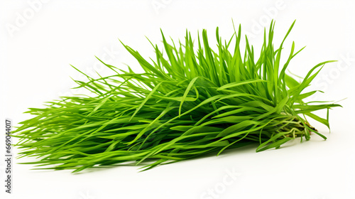Bunch of young green grass