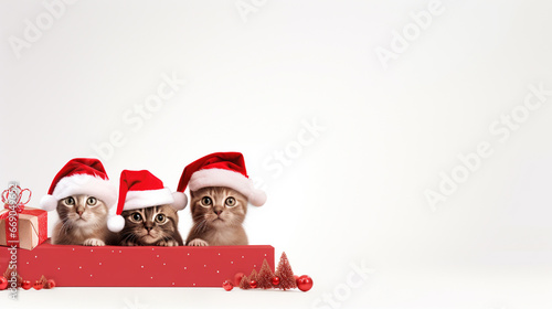 Group of three cats celebrating christmas with a santa claus and reindeer antlers hat with a red ribbon. Isolated on white background © Red Rubah