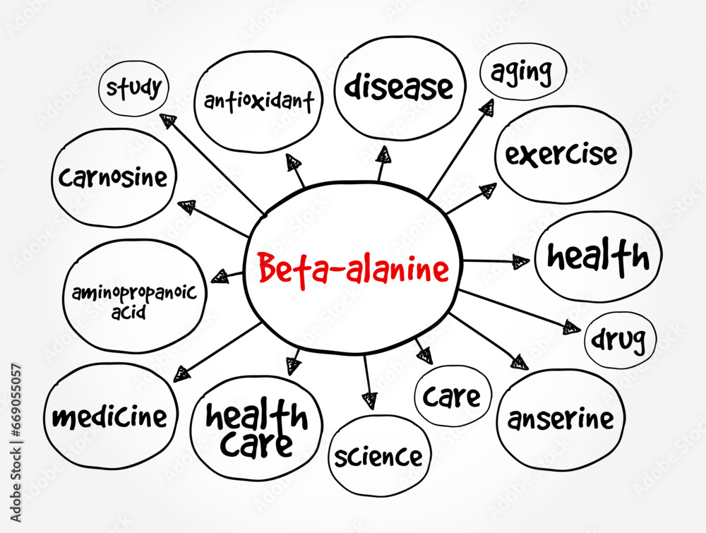 Beta-alanine is the building block of carnosine, a molecule that helps buffer acid in muscles, mind map text concept background Beta-alanine is the building block of carnosine, a molecule that helps buffer acid in muscles, mind map text concept background