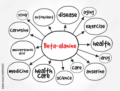 Beta-alanine is the building block of carnosine, a molecule that helps buffer acid in muscles, mind map text concept background