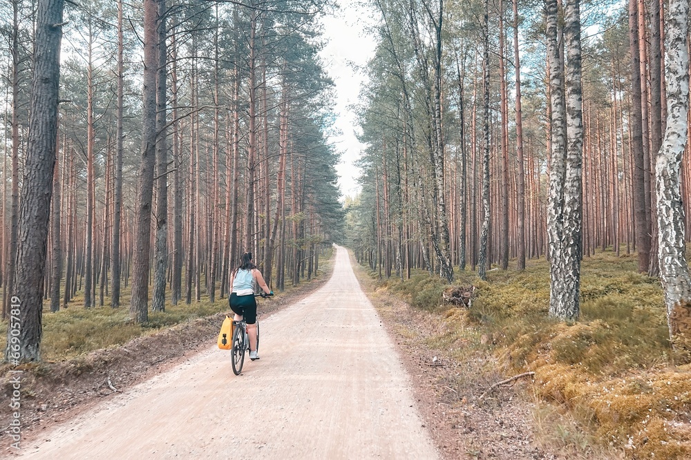 A girl traveling in the woods by bicycle. Concept of recreation in nature. A girl traveling in the woods by bicycle. Concept of recreation in nature.
