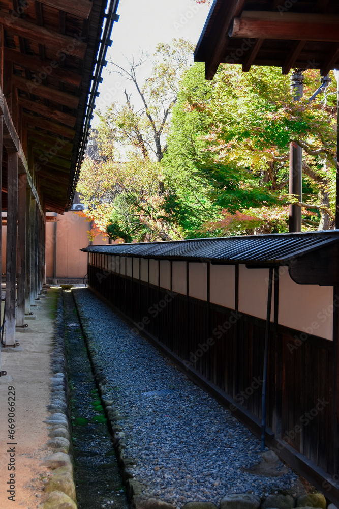 美しい日本家屋の回廊と紅葉