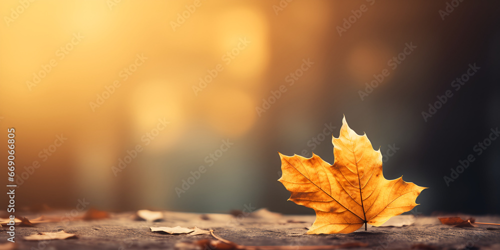 Golden Fall Foliage: Maple Leaves with Bokeh Elegance