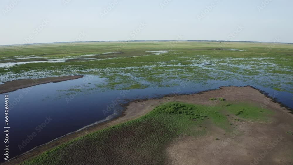 The marshy, flooded area. It is a unique ecosystem, rich in flora and fauna. Aerial view The marshy, flooded area. It is a unique ecosystem, rich in flora and fauna. Aerial view