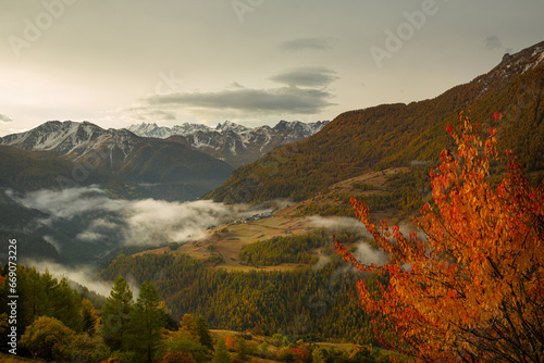 Saison d'automne dans les Alpes-de-Haute-Provence au sud de la France photo