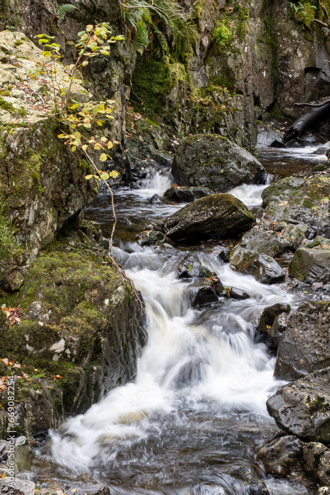 Fast flowing water falls amid rocks and woodland Fast flowing water falls amid rocks and woodland