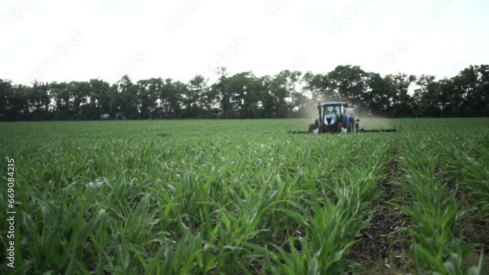 Tractor on the field of green corn fertilizing the crop Tractor on the field of green corn fertilizing the crop