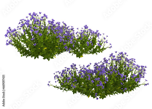 Many kinds of trees and flowers on transparent background photo