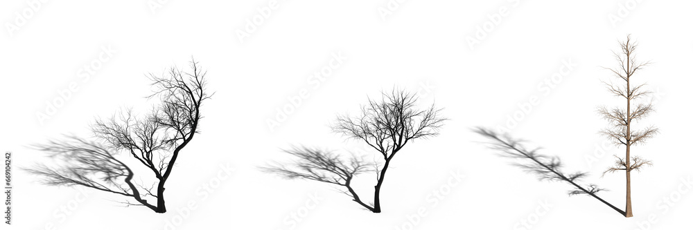big tree, isolated on white background, 3D illustration, cg render big tree, isolated on white background, 3D illustration, cg render