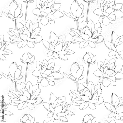 Lotus flowers drawn by graphics in vector seamless pattern. For interior print decoration  postcard  fabric  sketchbook cover.