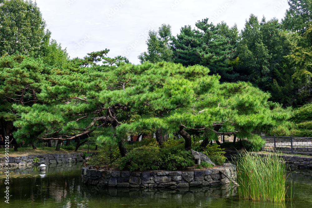 The Korean traditional beautiful garden.