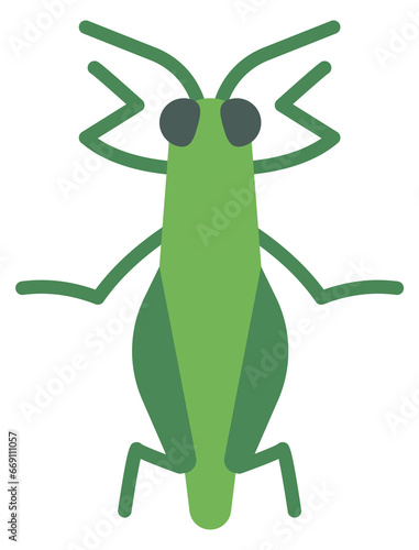 Grasshopper color icon. Green summer nature insect