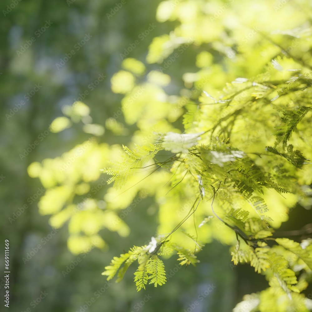 green tree leaves and branches in forest green tree leaves and branches in forest